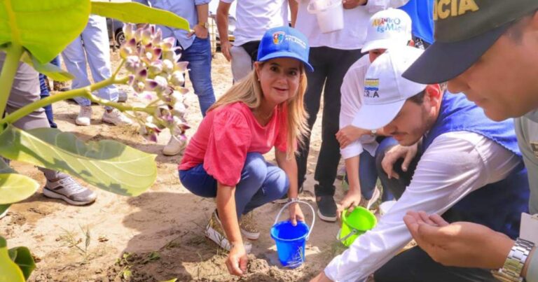  - Gobernadora del Atlántico inició siembra de mangle en Salinas del Rey, para promover la sostenibilidad