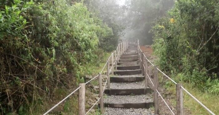 caminatas ecológicas  - Las tres caminatas ecológicas para conectarse con la naturaleza en Bogotá y que son seguras