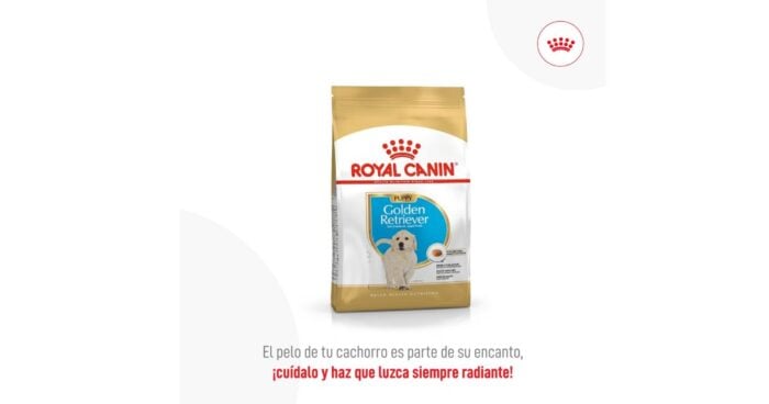  - Los 5 mejores concentrados para perro del mercado colombiano