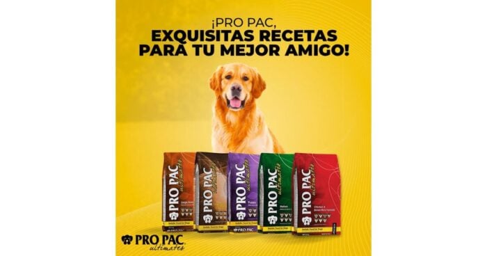  - Los 5 mejores concentrados para perro del mercado colombiano