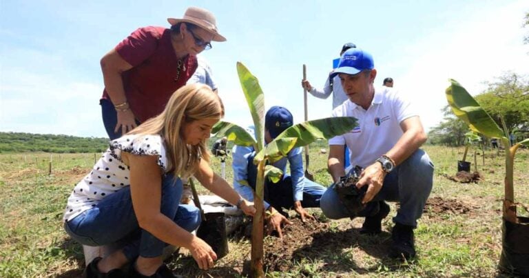  - "Por primera vez, en el sur del Atlántico empieza la siembra tecnificada de plátano": Elsa Noguera