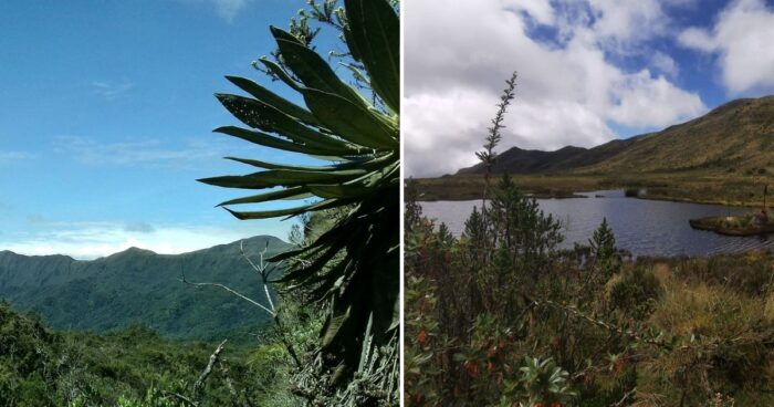 Caminatas ecológicas y senderismo - Tres lugares para hacer senderismo y caminatas ecológicas conectándose con la naturaleza