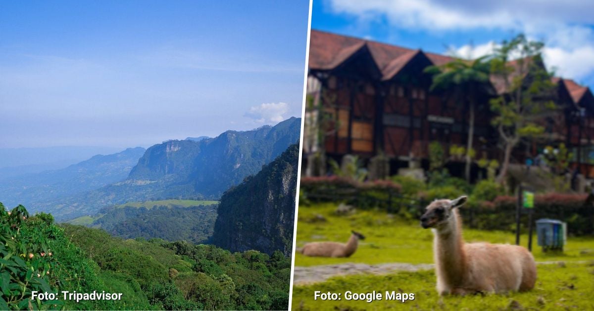 ¿Por qué visitar el Parque Natural Chicaque? Un paraíso a unos cuantos minutos de Bogotá