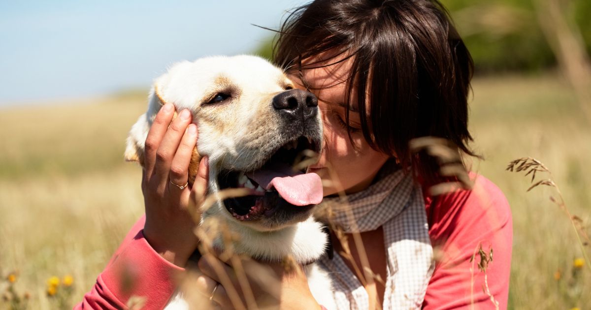 Estos son los beneficios de tener perros en su casa: estará menos estresado