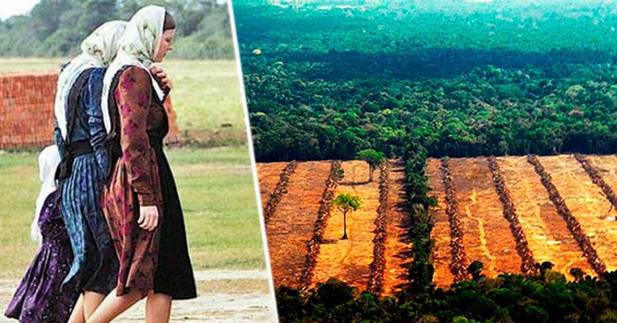 Ellos Son Los Menonitas La Secta Religiosa Gringa Que Está Invadiendo Los Llanos Orientales 4212