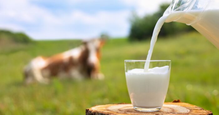 Precio de la leche - El precio de la leche está por debajo de 20 mil en este reconocido supermercado