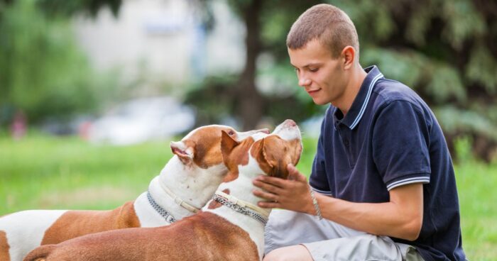 perros - Todos los perros entienden estas palabras: son más de las que usted cree