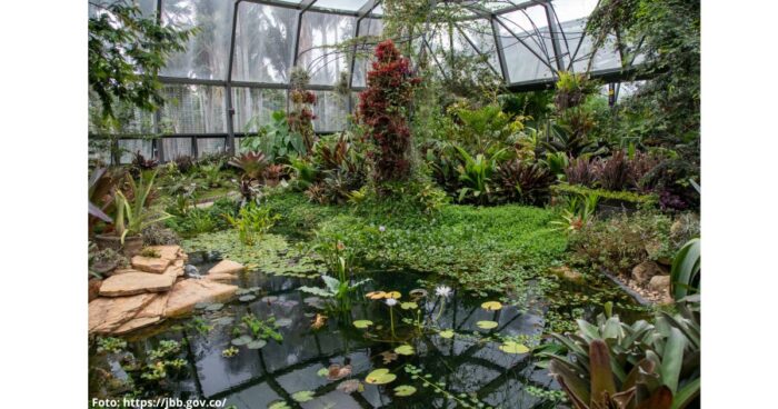 Jardín Botánico - Jardín Botánico: planes fascinantes para hacer en febrero y uno es gratis