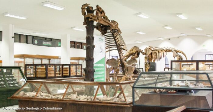 Museo Geológico Nacional José Royo y Gómez - Museos de Bogotá - Los museos de Bogotá poco conocidos que debe visitar; su entrada es totalmente gratuita