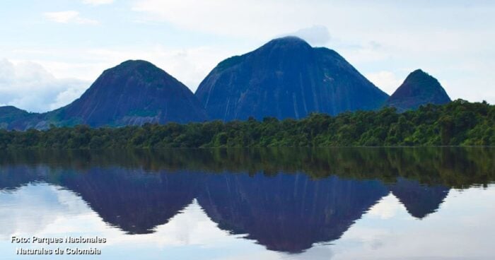 Reserva Nacional Natural Puinawai - Cuáles son los departamentos de Colombia más grandes y cuáles son sus atractivos turísticos