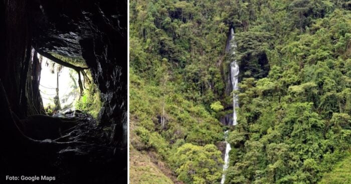 la cascada escondida en el tronco de un árbol - Antioquia - La cascada escondida en el tronco de un árbol ¿Dónde está y cuánto cuesta visitarla?