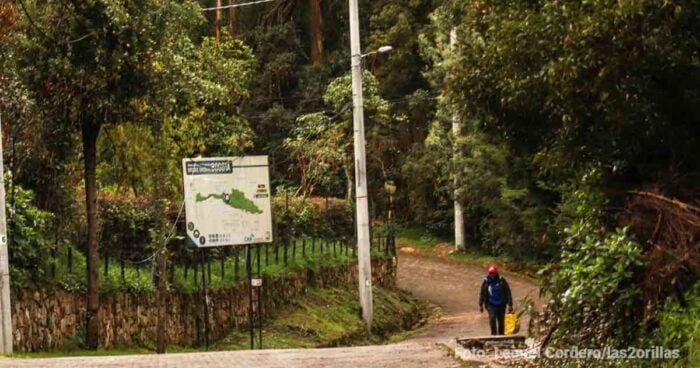  - Los 3 millonarios que tuvieron que tumbar sus mansiones por invadir los cerros de Bogotá