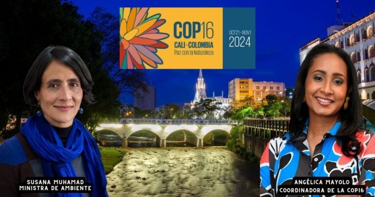  - COP16: ¿quiénes son los duros que mandan en la organización?