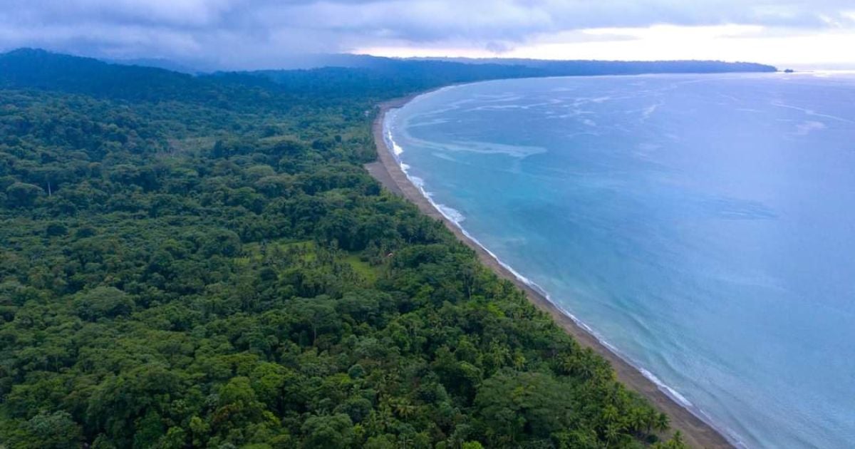Avanza gobernanza en reserva Tribugá-Cupica-Baudó, la primera en el Pacífico colombiano