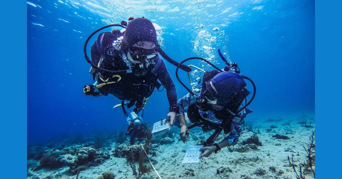¿Se están acabando los arrecifes de coral en San Andrés?: alerta de la Gobernación para el país