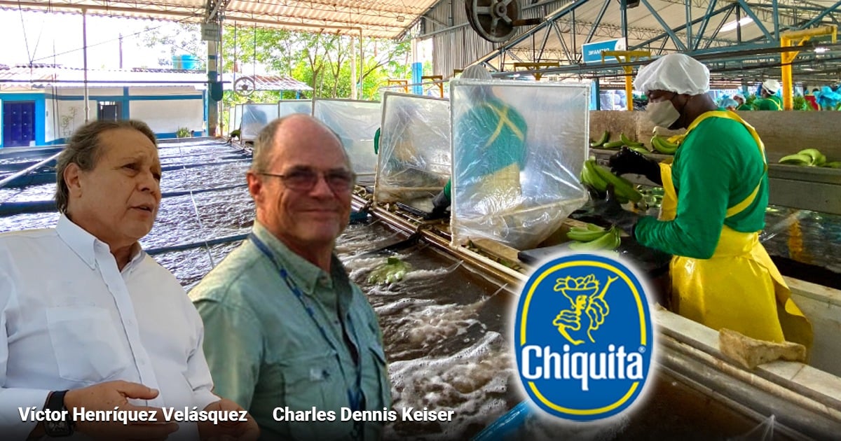 Los 10 grandes del negocio bananero enredados con la justicia colombiana por el caso Chiquita Brands