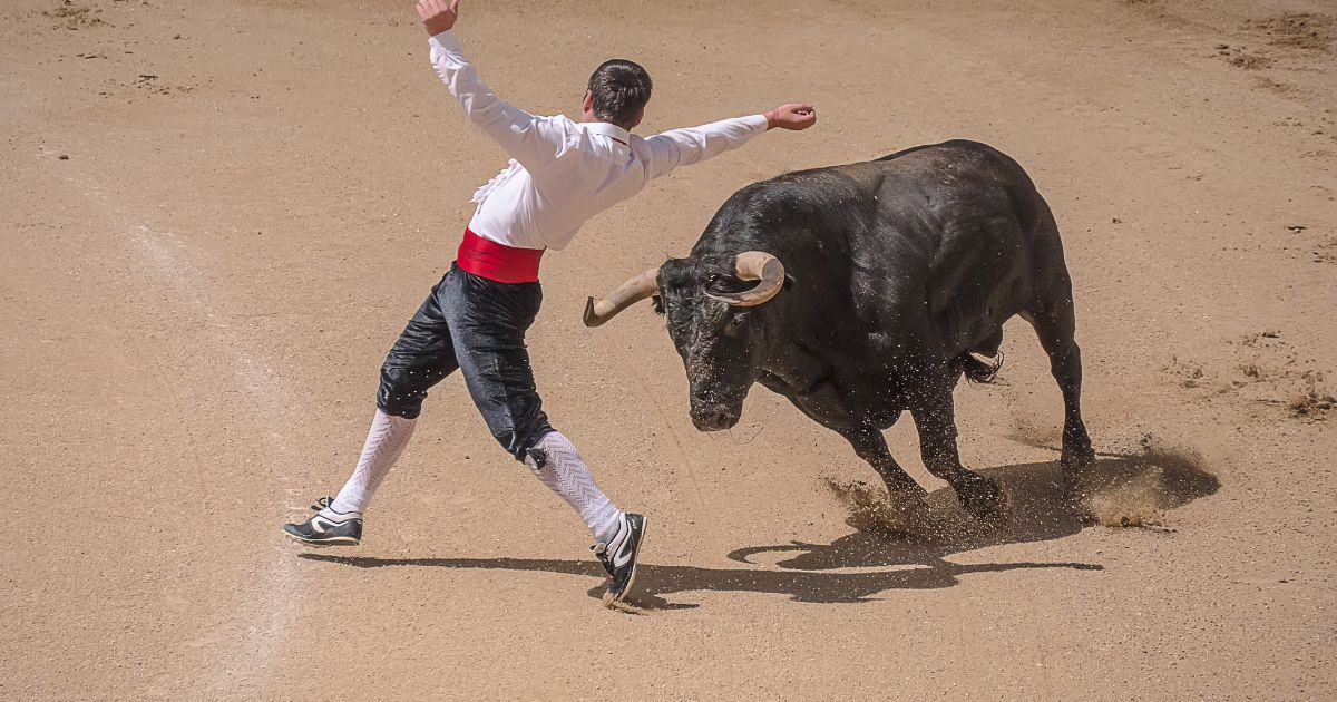 Las razones que explican por qué las corridas de toros no se acabarán en Colombia