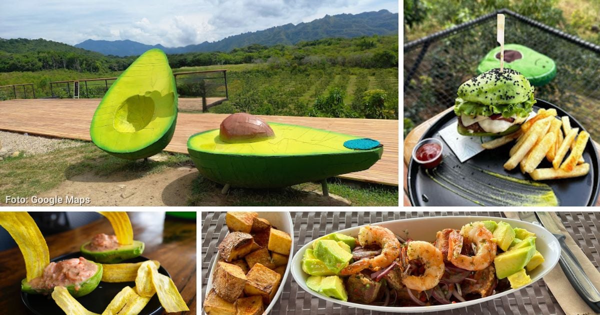 El paraíso del aguacate en Colombia donde puede comer hamburguesas, chocolates y más con esta fruta