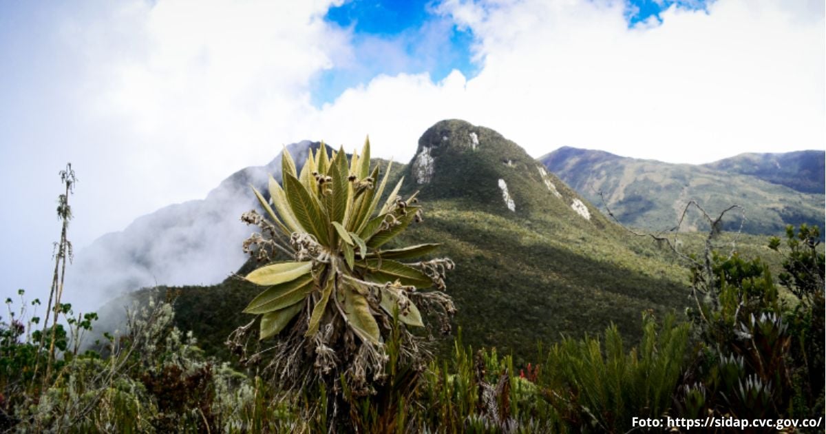 Este es el páramo más conservado de Colombia y la leyenda del duende que lo protege