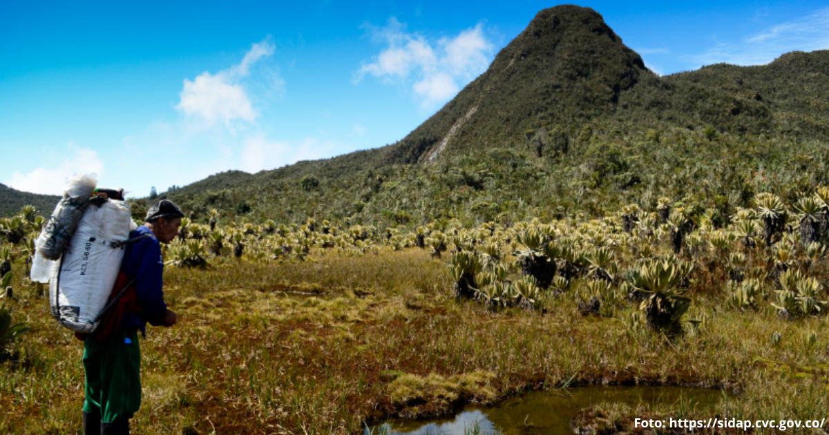 páramo más conservado de Colombia - Este es el páramo más conservado de Colombia y la leyenda del duende que lo protege