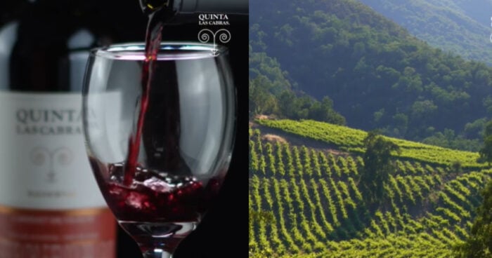  - ¿Quiénes producen el vino chileno que vende D1 con el sello Quinta Las Cabras?