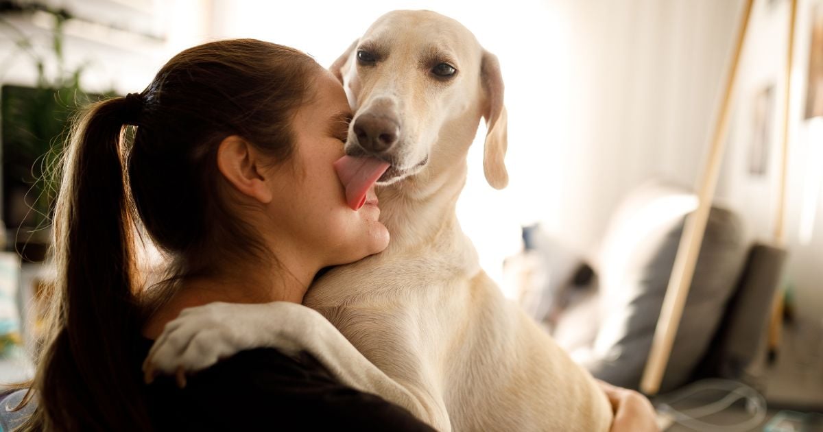  - ¿La saliva de perro puede transmitir enfermedades? Esto dice una veterinaria
