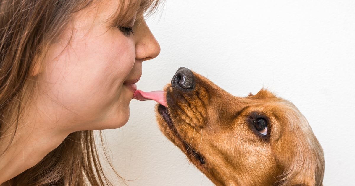 ¿Su perro le puede transmitir enfermedades a través de la saliva? Esto dice una veterinaria