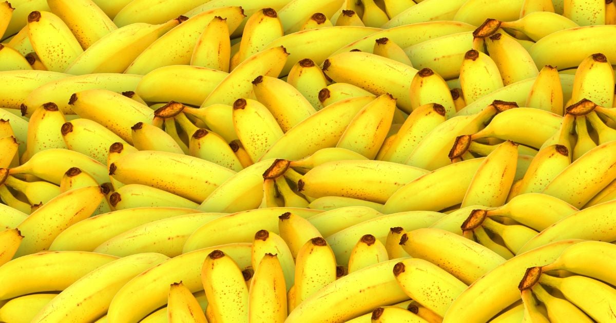 United Fruit Company (ahora Chiquita Brands): una historia de bananas y de otras frutas podridas