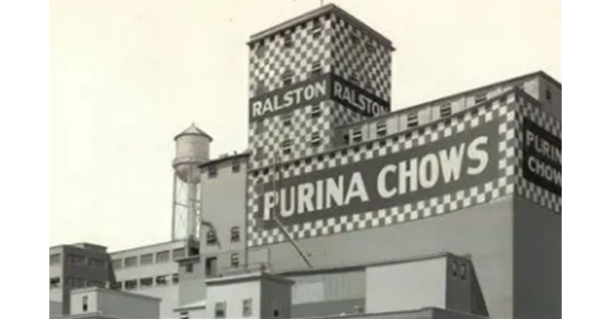 Purina - Cómo arrancó Purina, la marca líder en el mercado de los alimentos para mascotas