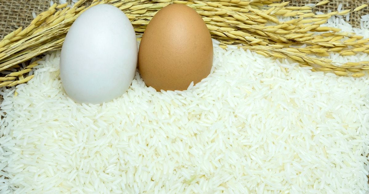 comer arroz con huevo - ¿Comer arroz con huevo es malo para la salud? Esto dice un doctor al respecto