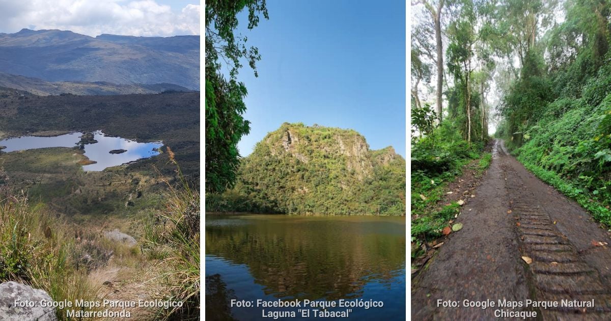 Tres parques ecológicos cerca de Bogotá perfectos para conectarse con la naturaleza
