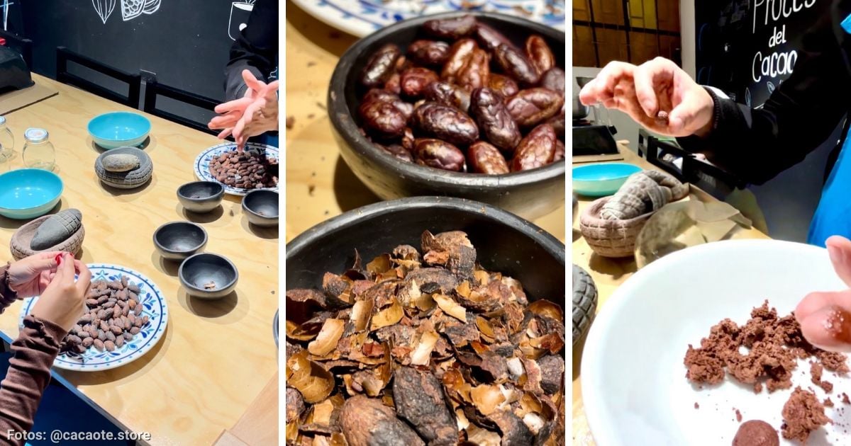 El taller para aprender a hacer chocolate y conocer sobre el cacao sin tener que salir de Bogotá