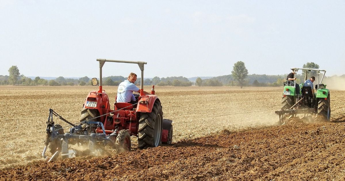 El campo y el engaño de Petro