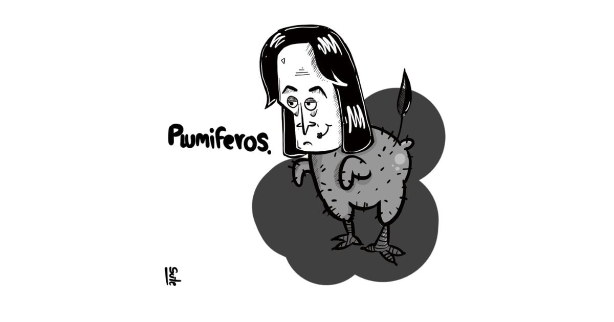 Caricatura: Plumíferos