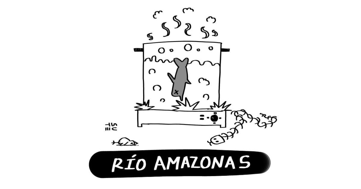 Caricatura: Río Amazonas