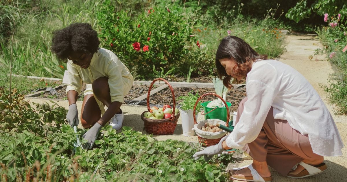 El ABC del servicio social para la paz