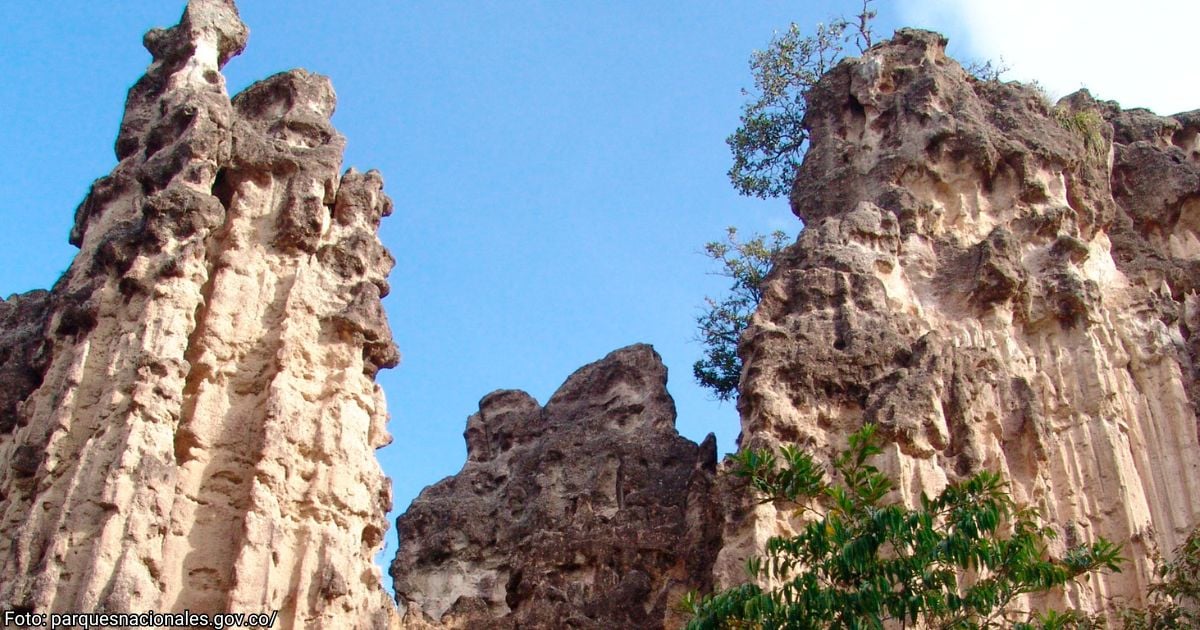 Área Natural Única Los Estoraques - Conozca el Área Natural Única Los Estoraques, el edén natural del Norte de Santander