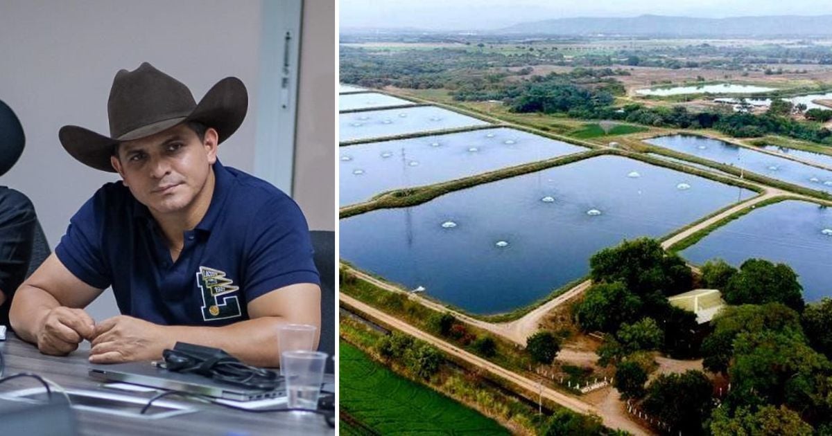 Con grandes estanques artificiales, Casanare busca vender carne de pescado fuera de Colombia