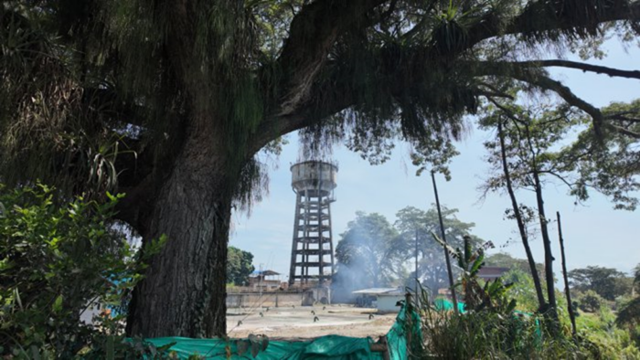  - ¡El desastre ya está aquí! La naturaleza agoniza, y todos miran en el Norte del Cauca...