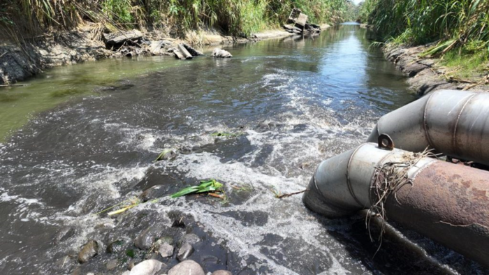  - ¡El desastre ya está aquí! La naturaleza agoniza, y todos miran en el Norte del Cauca...