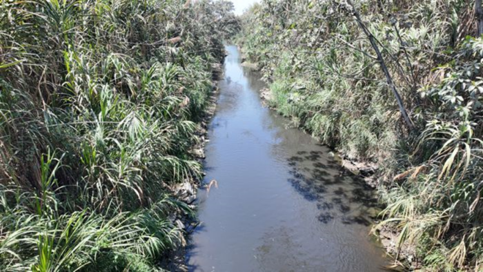  - ¡El desastre ya está aquí! La naturaleza agoniza, y todos miran en el Norte del Cauca...