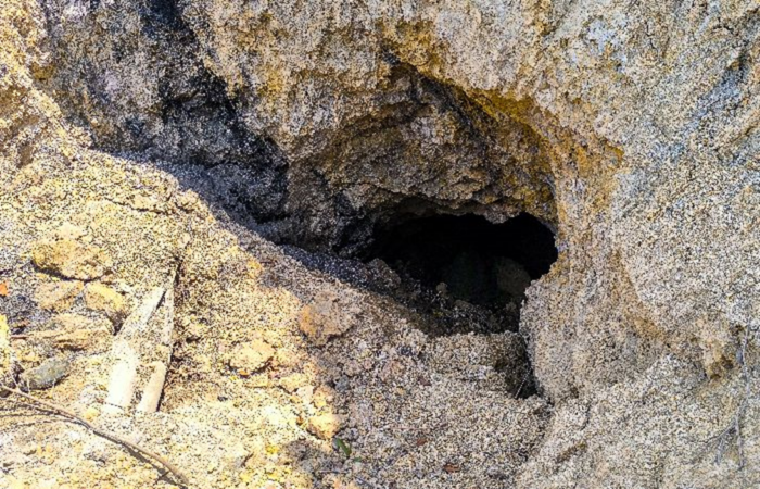  - ¡El desastre ya está aquí! La naturaleza agoniza, y todos miran en el Norte del Cauca...