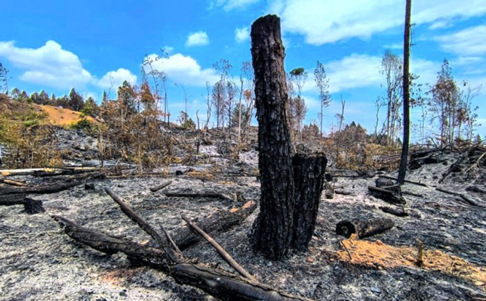  - ¡El desastre ya está aquí! La naturaleza agoniza, y todos miran en el Norte del Cauca...