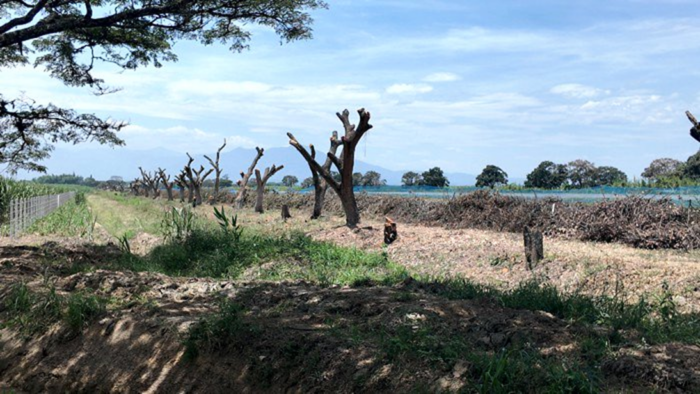  - ¡El desastre ya está aquí! La naturaleza agoniza, y todos miran en el Norte del Cauca...