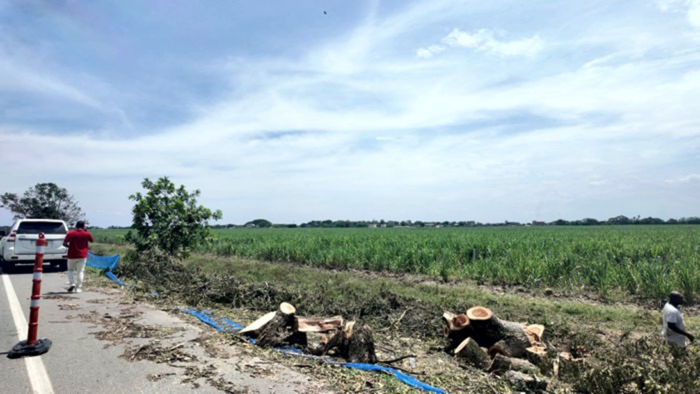  - ¡El desastre ya está aquí! La naturaleza agoniza, y todos miran en el Norte del Cauca...