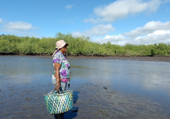  - Piangüeras de Tumaco protegen manglar y soberanía alimentaria