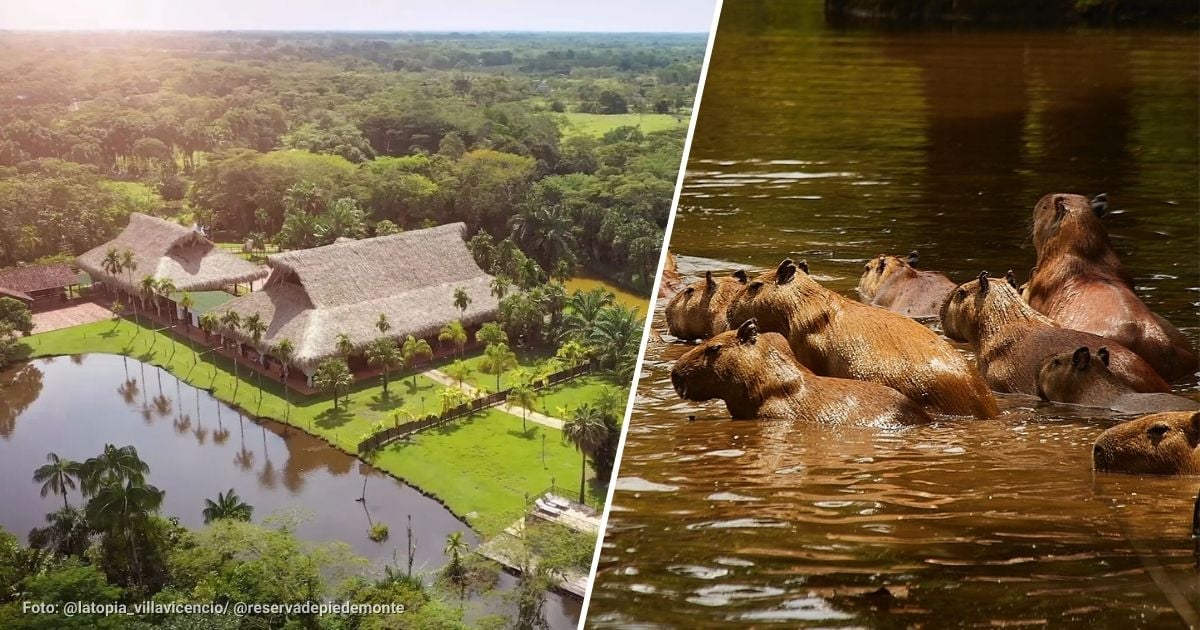 El hotel en el Meta para iniciar el día rodeado de chigüiros; así puede conocerlo