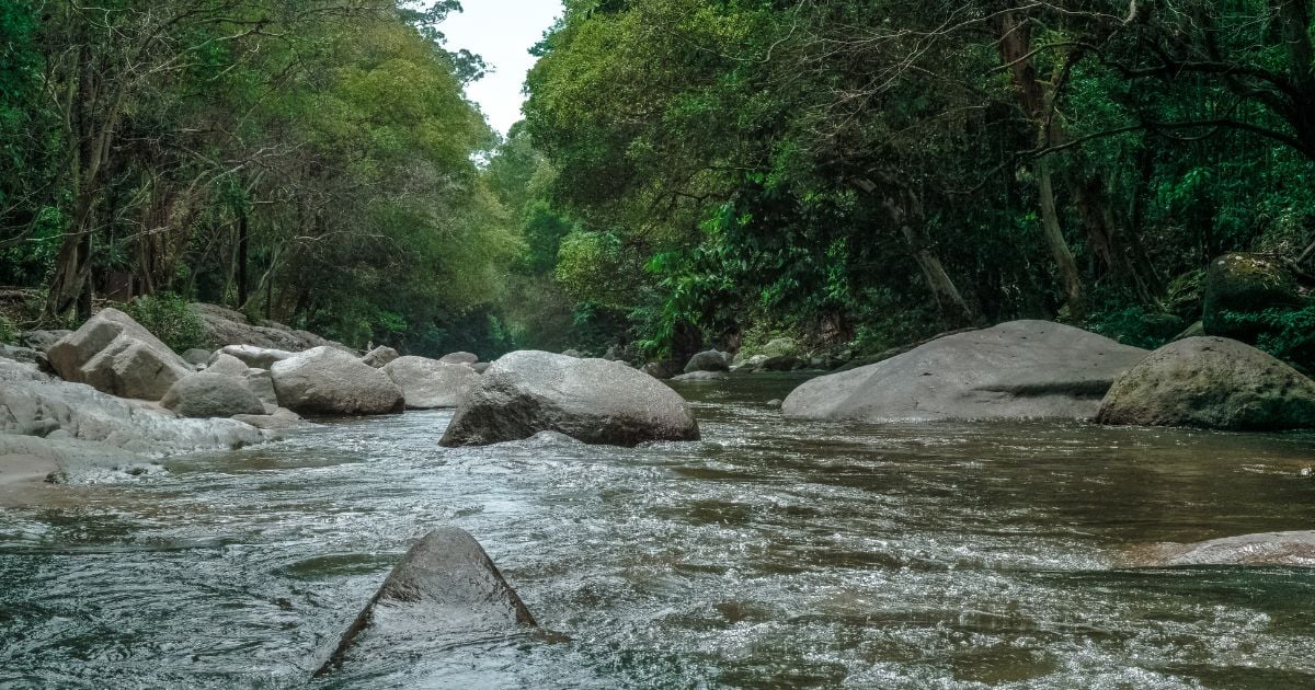 El río Magdalena y su lenta muerte frente a todos...