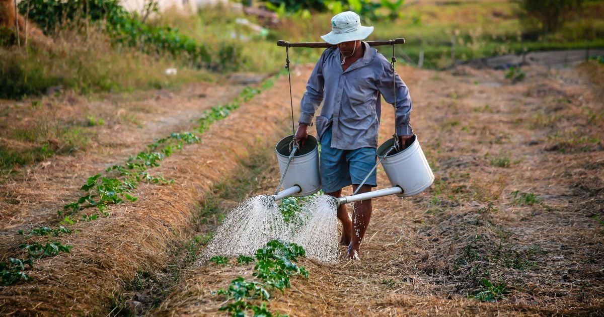 Campesinos de Meta y Guaviare claman por la Reforma Agraria Integral