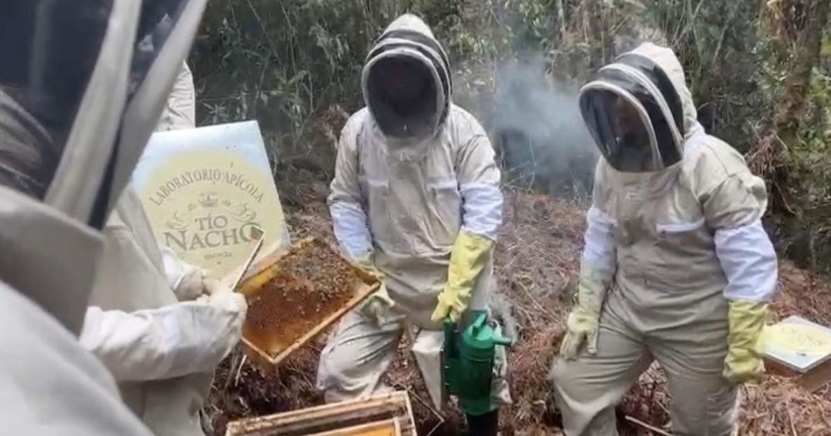 La apuesta por envases hechos con el bagazo de la caña de azúcar y el arroz